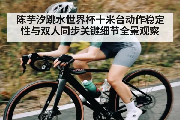陈芋汐跳水世界杯十米台动作稳定性与双人同步关键细节全景观察